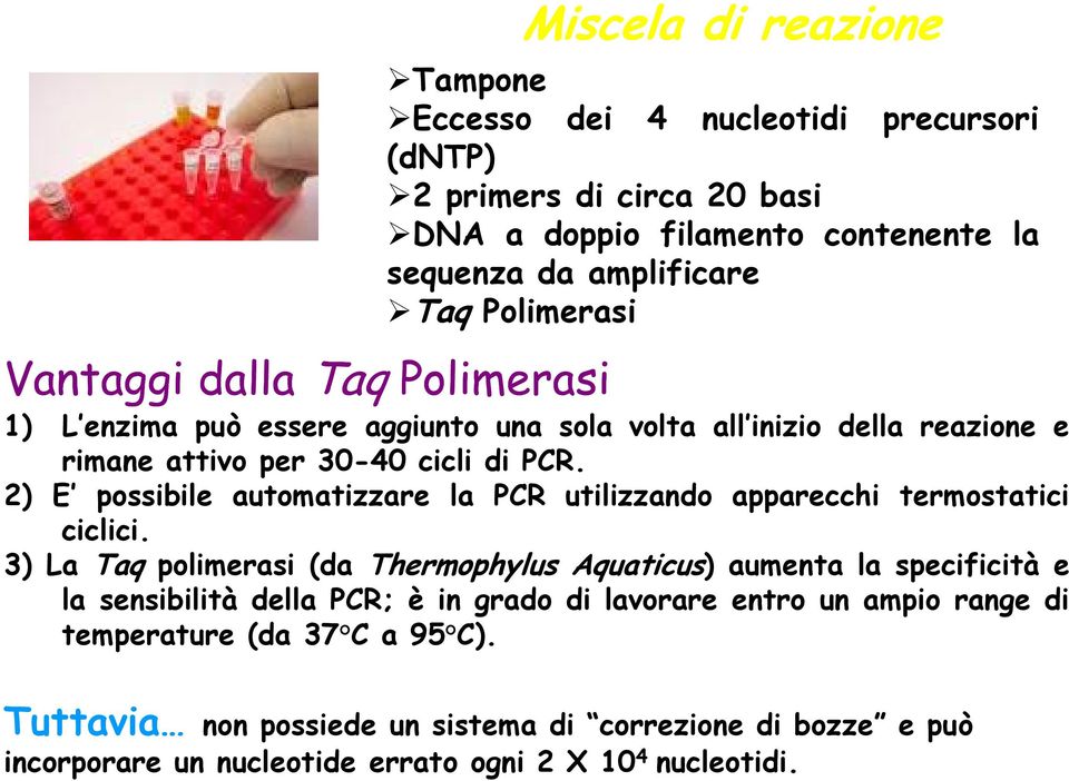 2) E possibile automatizzare la PCR utilizzando apparecchi termostatici ciclici.