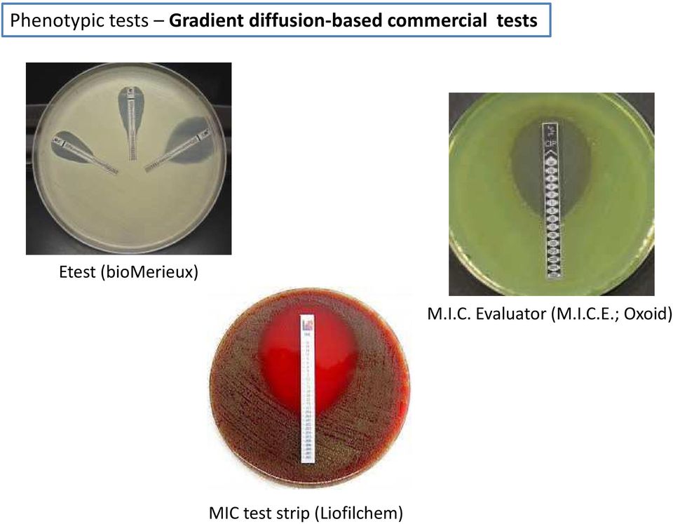 Etest (biomerieux) M.I.C.