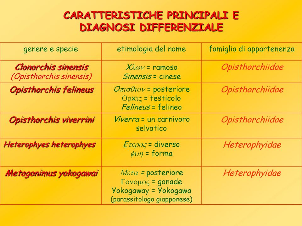 ramoso Sinensis = cinese O = posteriore x = testicolo Felineus = felineo Viverra = un carnivoro selvatico E = diverso = forma =