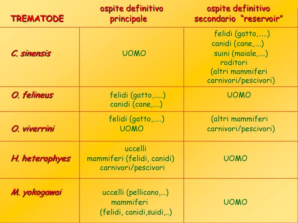 .) UOMO canidi (cane,.) felidi (gatto,..) (altri mammiferi O. viverrini UOMO carnivori/pescivori) uccelli H.