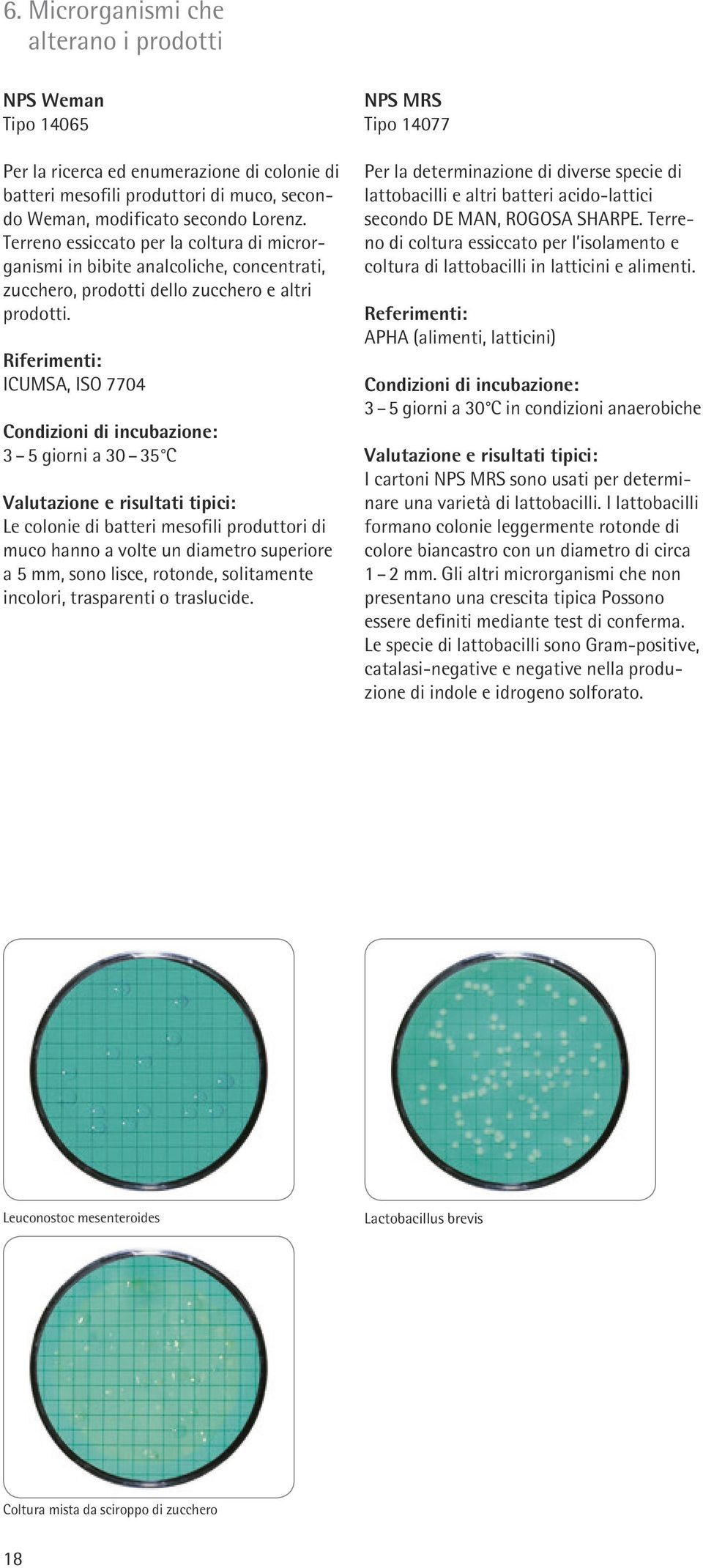 ICUMSA, ISO 7704 3 5 giorni a 30 35 C Le colonie di batteri mesofili produttori di muco hanno a volte un diametro superiore a 5 mm, sono lisce, rotonde, solitamente incolori, trasparenti o traslucide.