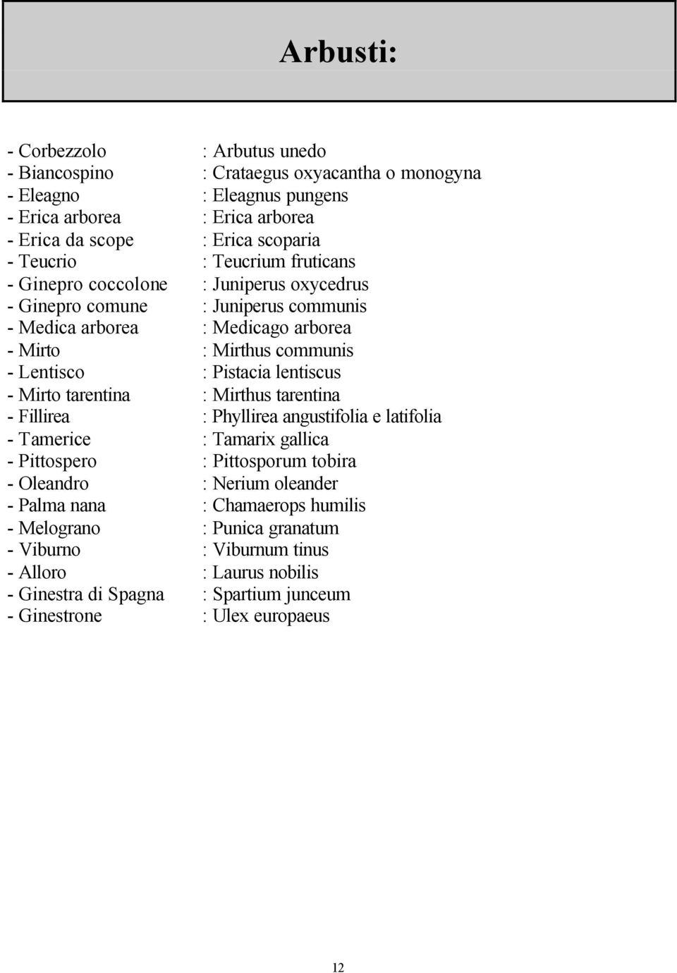 Pistacia lentiscus - Mirto tarentina : Mirthus tarentina - Fillirea : Phyllirea angustifolia e latifolia - Tamerice : Tamarix gallica - Pittospero : Pittosporum tobira - Oleandro : Nerium
