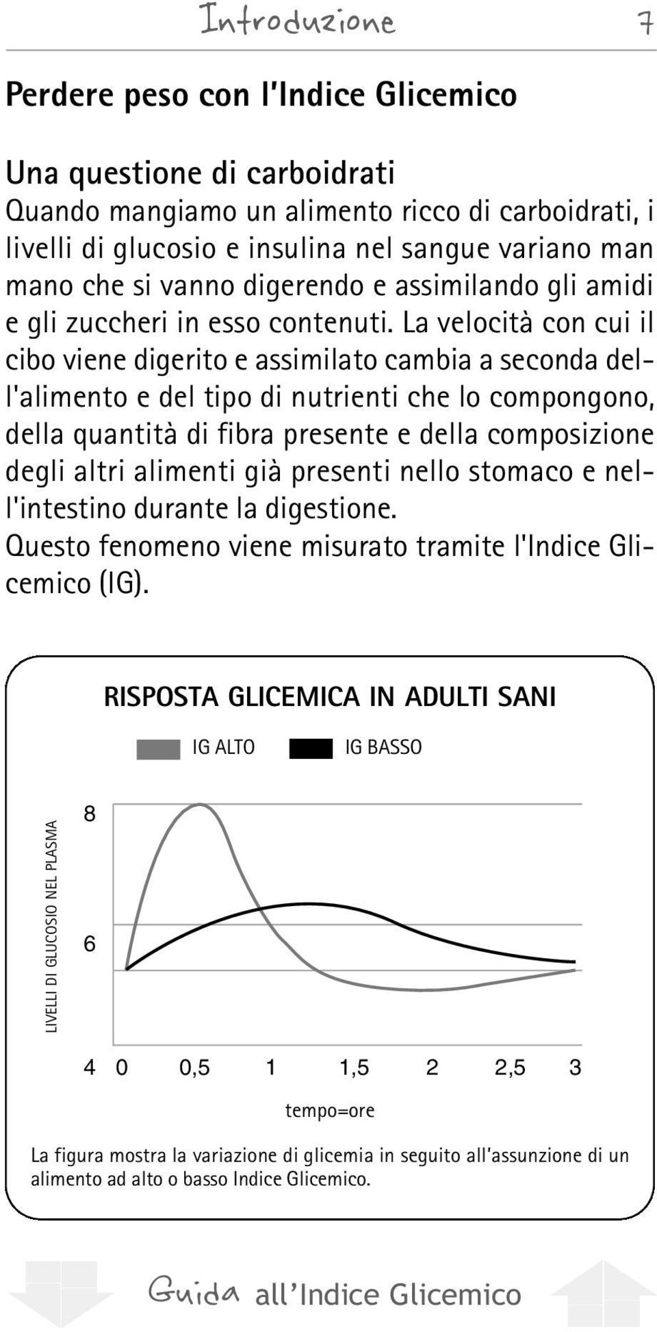 La velocità con cui il cibo viene digerito e assimilato cambia a seconda dell'alimento e del tipo di nutrienti che lo compongono, della quantità di fibra presente e della composizione degli altri