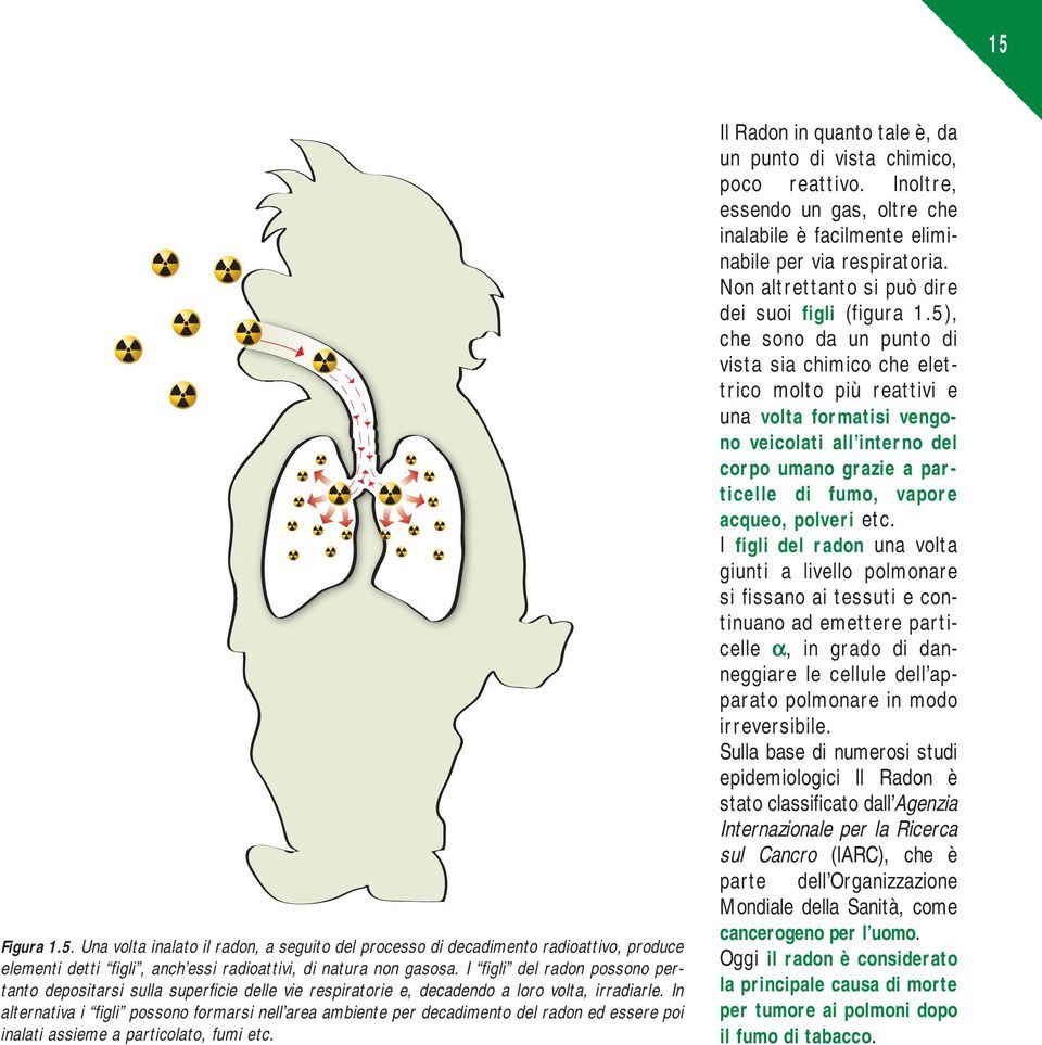 In alternativa i figli possono formarsi nell area ambiente per decadimento del radon ed essere poi inalati assieme a particolato, fumi etc.