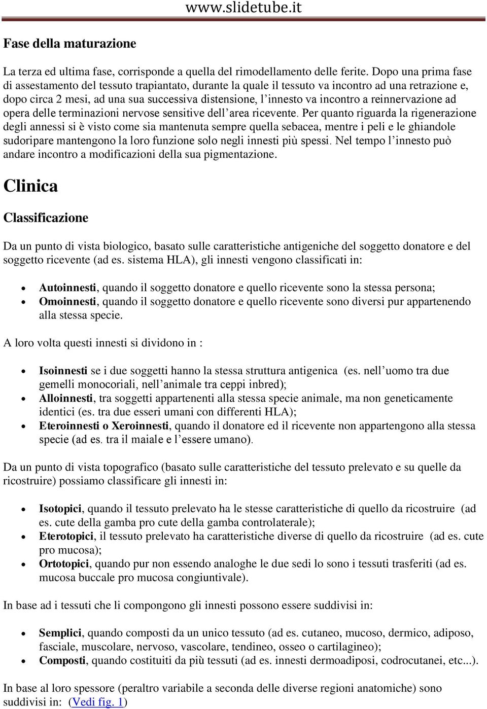 reinnervazione ad opera delle terminazioni nervose sensitive dell area ricevente.