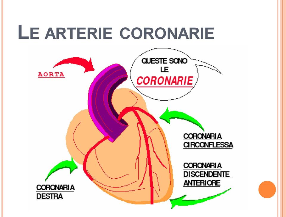 CORONARIE