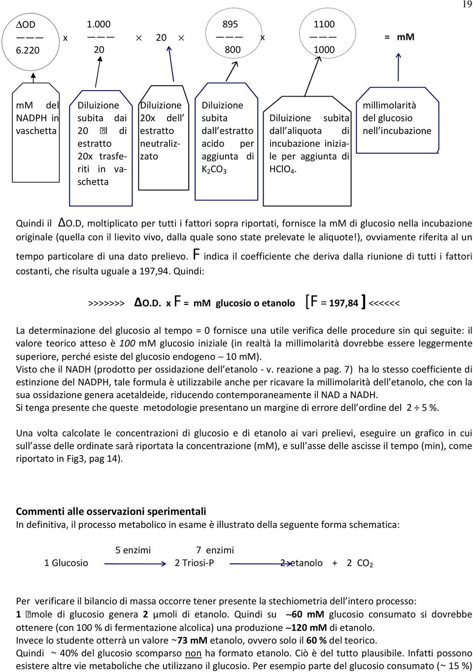 estratto acido per aggiunta di K 2 CO 3 Diluizione subita dall aliquota di incubazione iniziale per aggiunta di HClO 4. millimolarità del glucosio nell incubazione Quindi il ΔO.