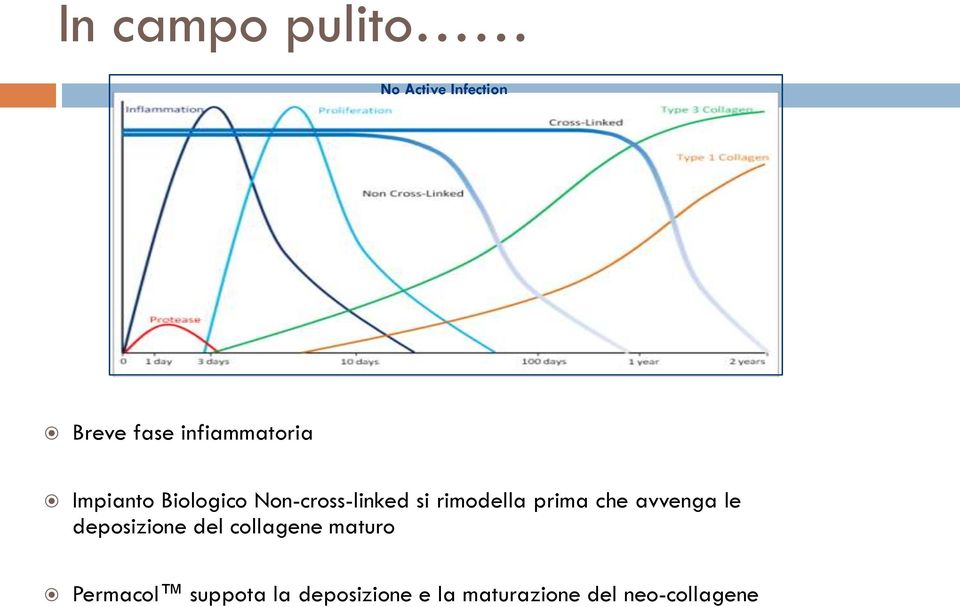 rimodella prima che avvenga le deposizione del collagene