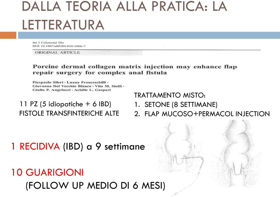 SETONE (8 SETTIMANE) 2.