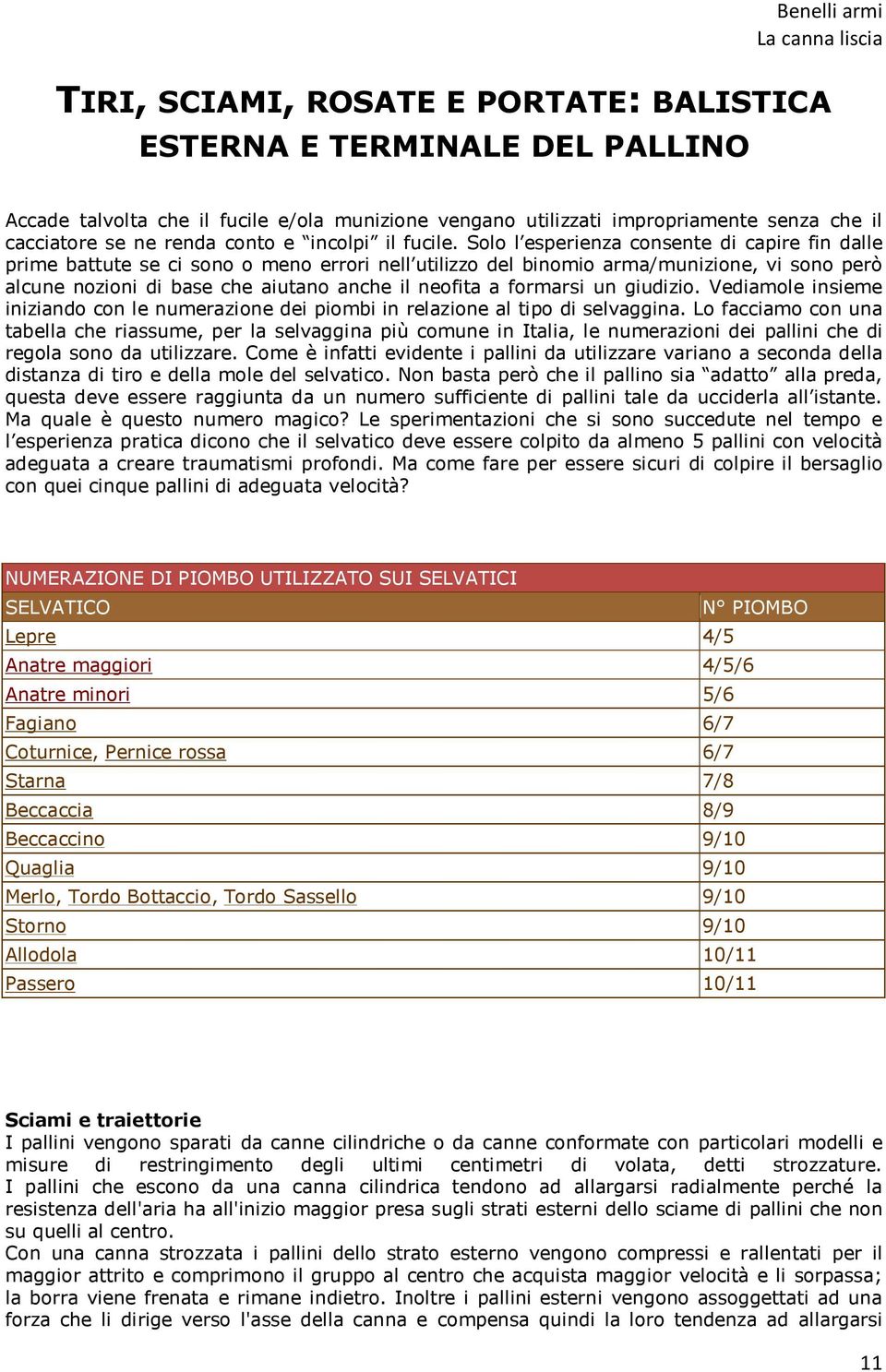 Solo l esperienza consente di capire fin dalle prime battute se ci sono o meno errori nell utilizzo del binomio arma/munizione, vi sono però alcune nozioni di base che aiutano anche il neofita a