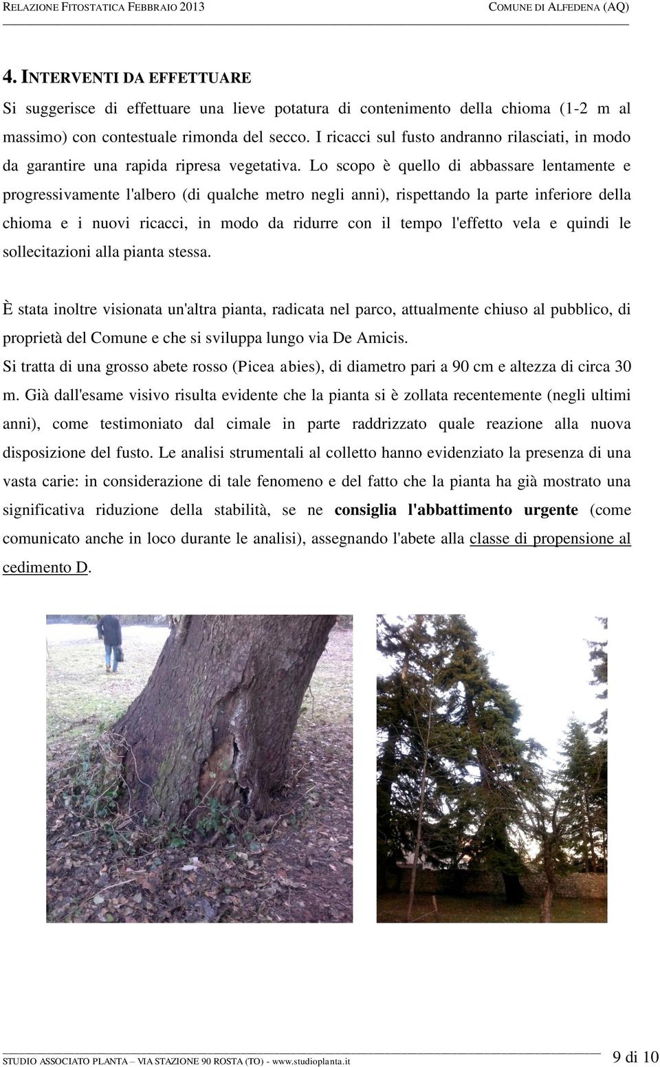 Lo scopo è quello di abbassare lentamente e progressivamente l'albero (di qualche metro negli anni), rispettando la parte inferiore della chioma e i nuovi ricacci, in modo da ridurre con il tempo