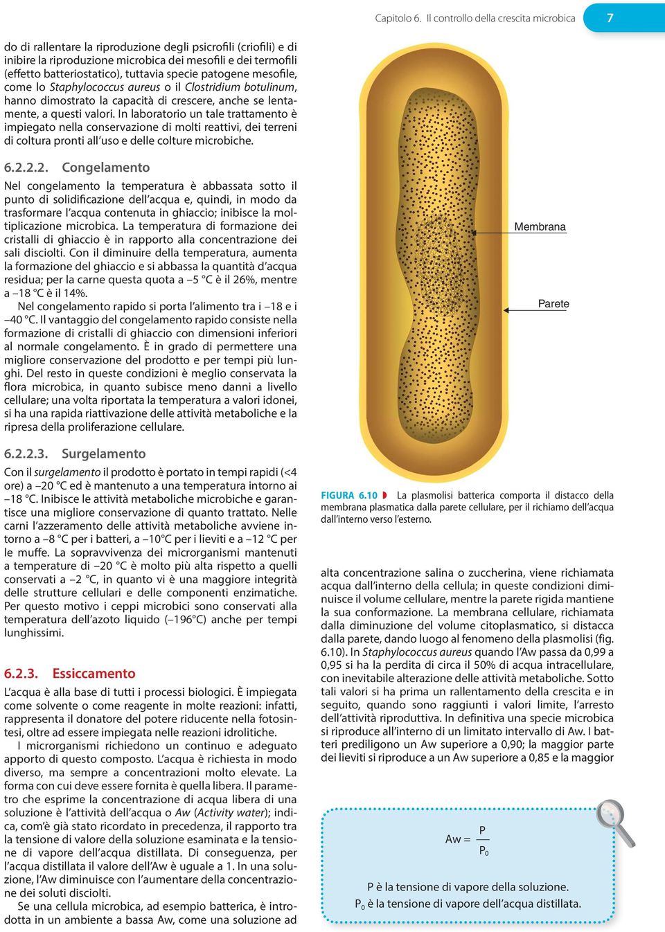 tuttavia specie patogene mesofile, come lo Sta phy lo coc cus aureus o il Clostridium botulinum, hanno dimostrato la capacità di crescere, anche se lentamente, a questi valori.