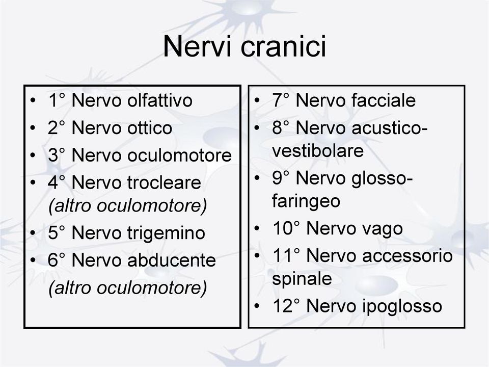 (altro oculomotore) 7 Nervo facciale 8 Nervo acusticovestibolare 9 Nervo