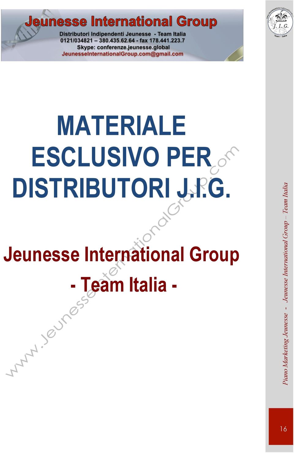 Jeunesse International