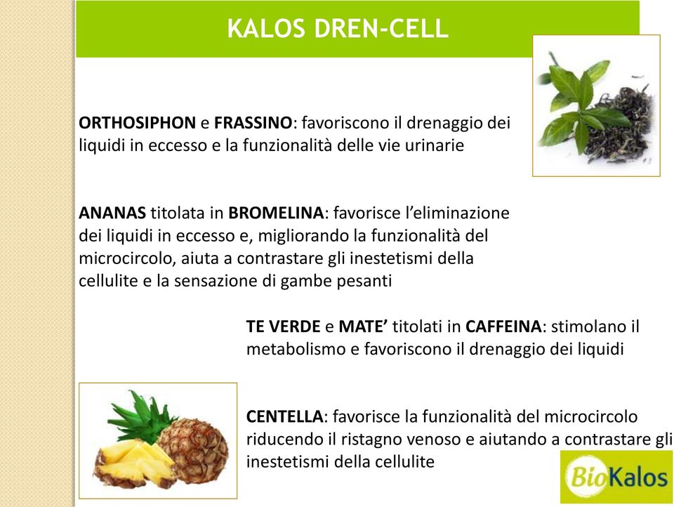 della cellulite e la sensazione di gambe pesanti TE VERDE e MATE titolati in CAFFEINA: stimolano il metabolismo e favoriscono il drenaggio dei