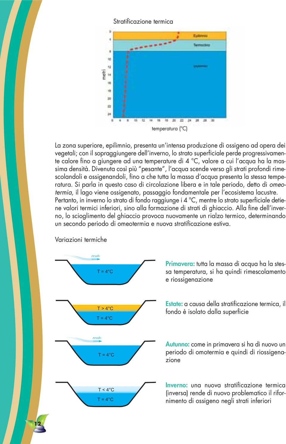 Divenuta così più pesante, l acqua scende verso gli strati profondi rimescolandoli e ossigenandoli, fino a che tutta la massa d acqua presenta la stessa temperatura.