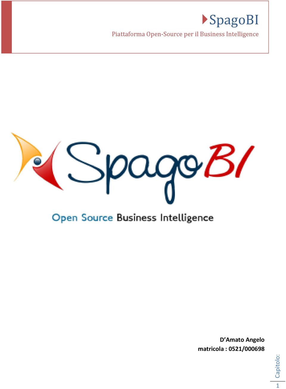 il Business Intelligence D