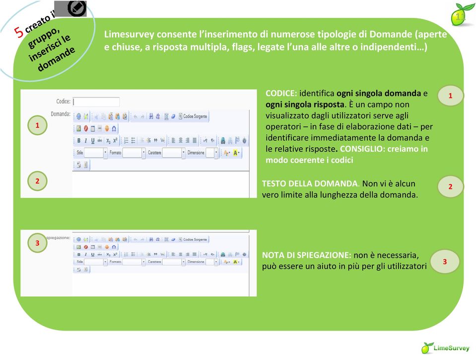 Èun campo non visualizzato dagli utilizzatori serve agli operatori in fase di elaborazione dati per identificare immediatamente la domanda e le relative risposte.