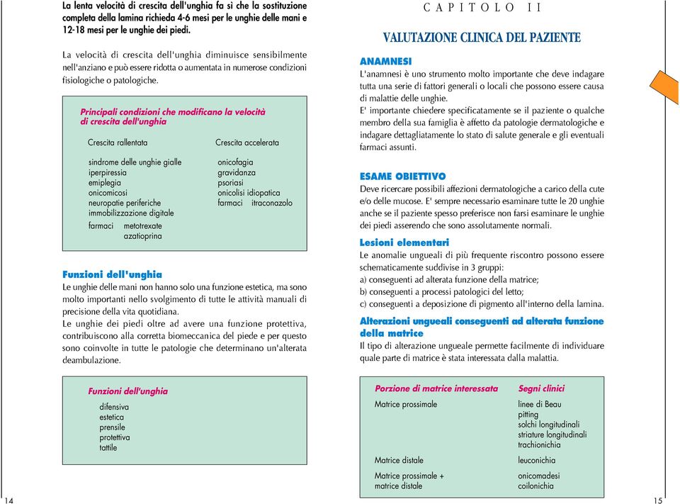 Principali condizioni che modificano la velocità di crescita dell'unghia Crescita rallentata Crescita accelerata sindrome delle unghie gialle onicofagia iperpiressia gravidanza emiplegia psoriasi