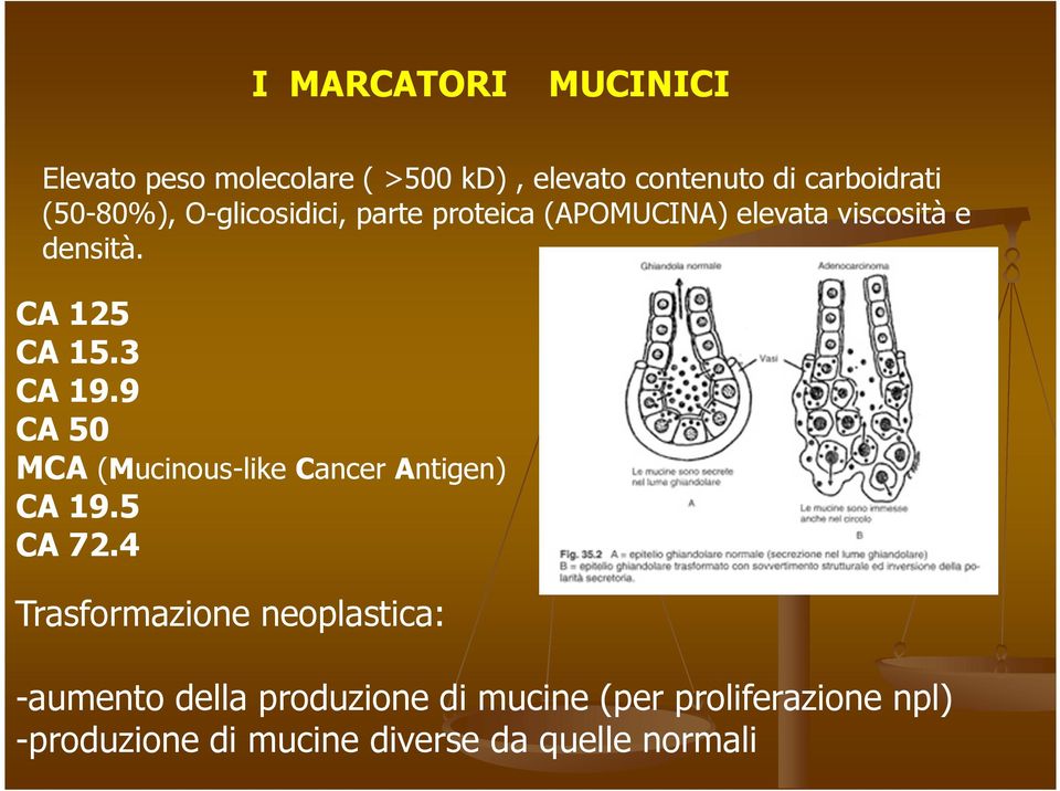 3 CA 19.9 CA 50 MCA (Mucinous-like Cancer Antigen) CA 19.5 CA 72.