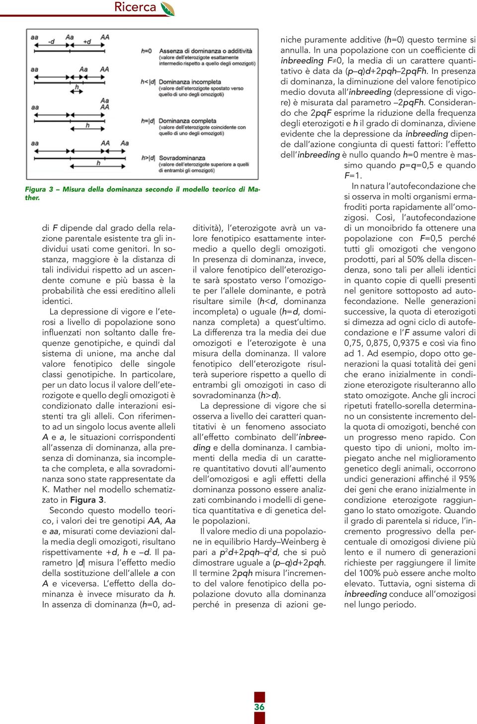 La depressione di vigore e l eterosi a livello di popolazione sono influenzati non soltanto dalle frequenze genotipiche, e quindi dal sistema di unione, ma anche dal valore fenotipico delle singole