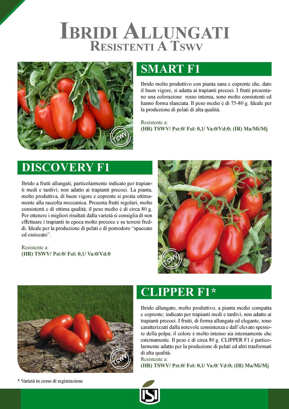 (HR) / Pst:0/ Fol: 0,1/ Va:0/Vd:0; (IR) Ma/Mi/Mj DISCOVERY F1 Ibrido a frutti allungati, particolarmente indicato per trapianti medi e tardivi; non adatto ai trapianti precoci.