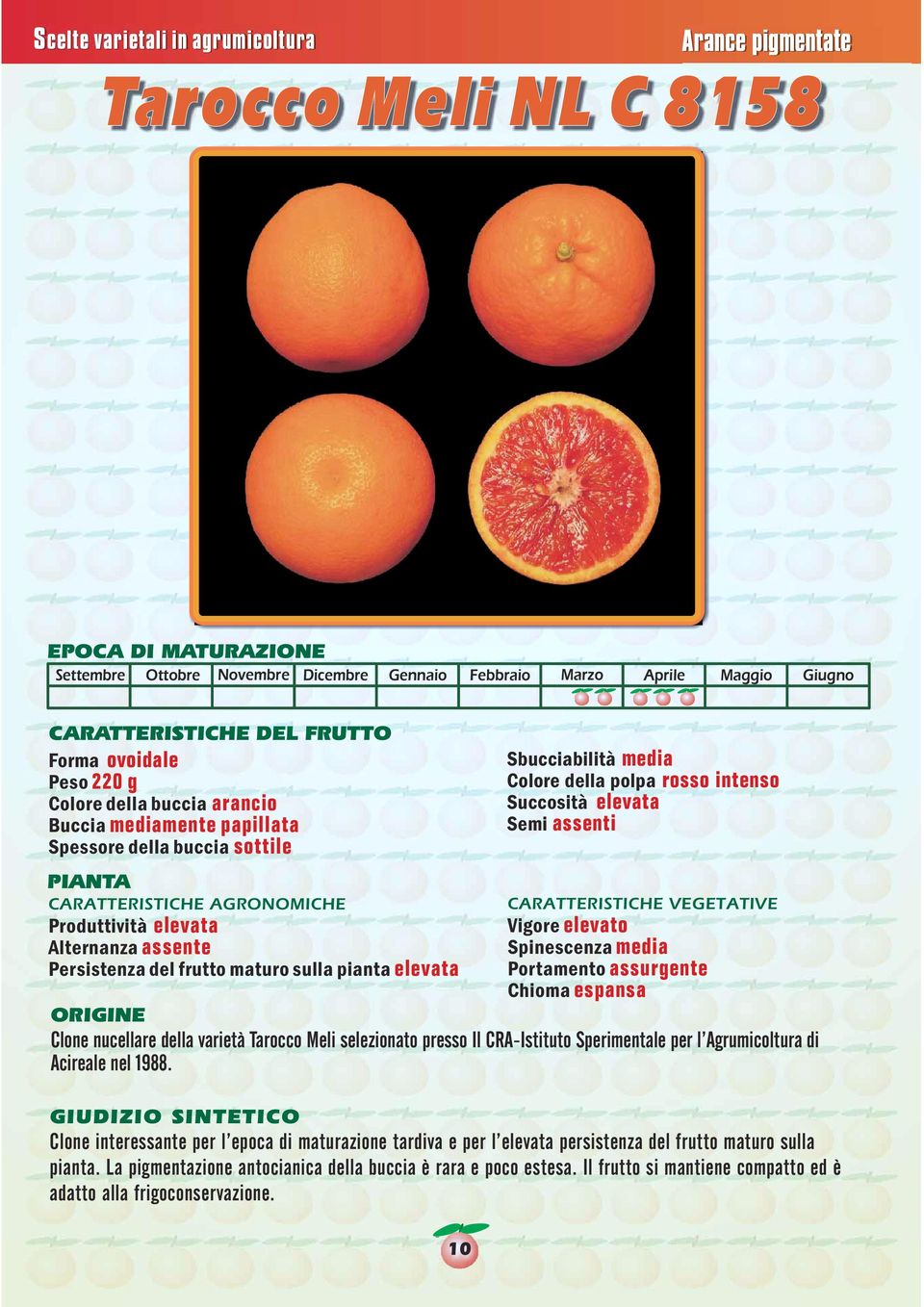 espansa Clone nucellare della varietà Tarocco Meli selezionato presso Il CRA-Istituto Sperimentale per l Agrumicoltura di Acireale nel 1988.