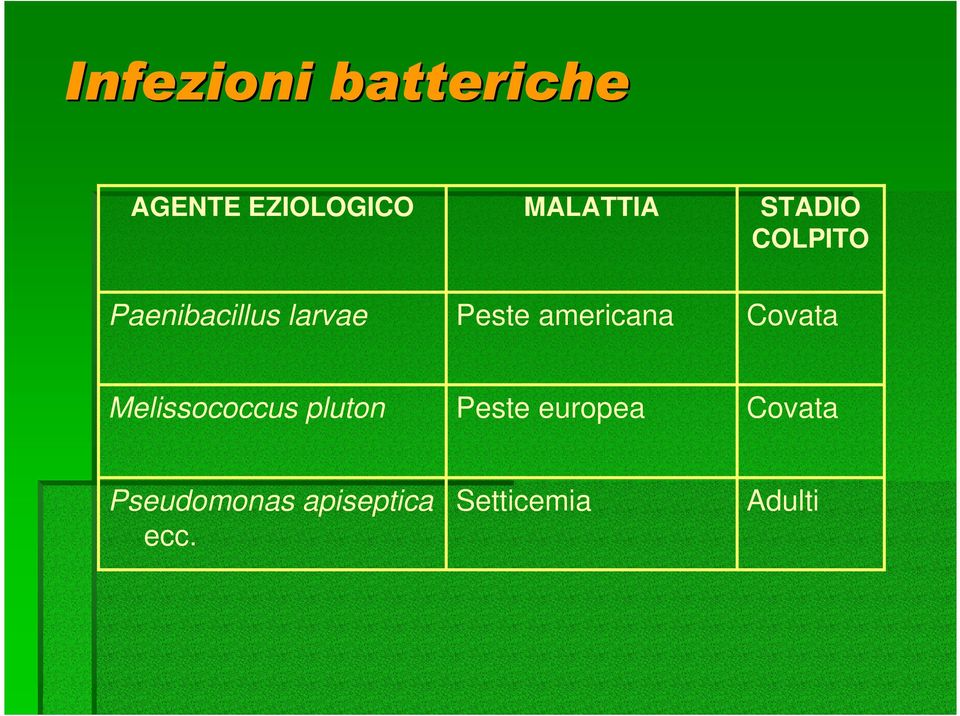 americana Covata Melissococcus pluton Peste