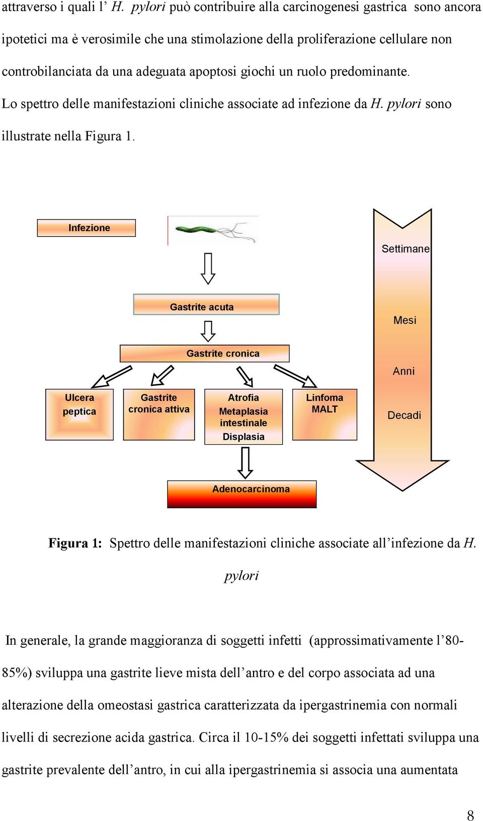 ruolo predominante. Lo spettro delle manifestazioni cliniche associate ad infezione da H. pylori sono illustrate nella Figura 1.