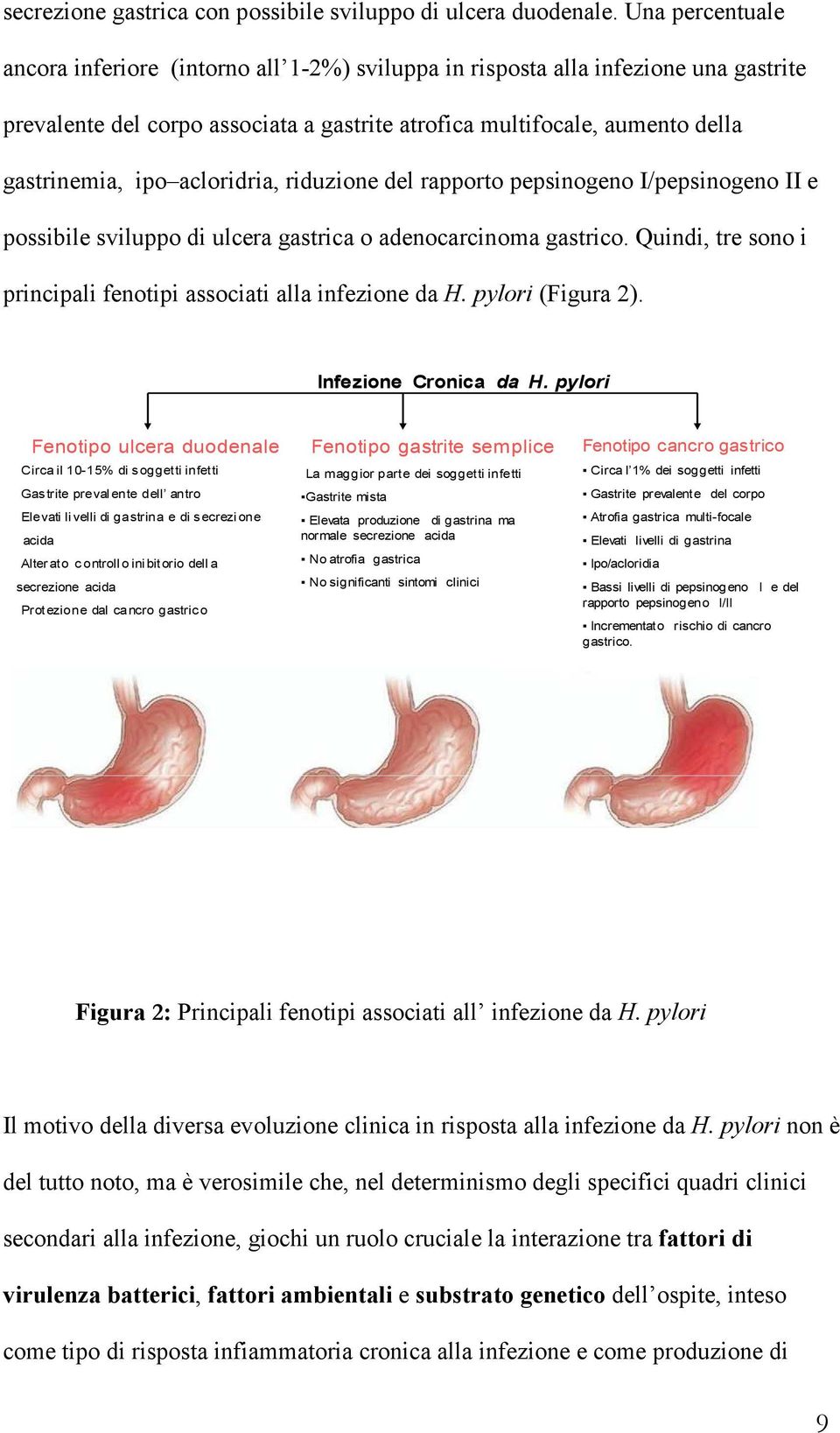 acloridria, riduzione del rapporto pepsinogeno I/pepsinogeno II e possibile sviluppo di ulcera gastrica o adenocarcinoma gastrico. Quindi, tre sono i principali fenotipi associati alla infezione da H.