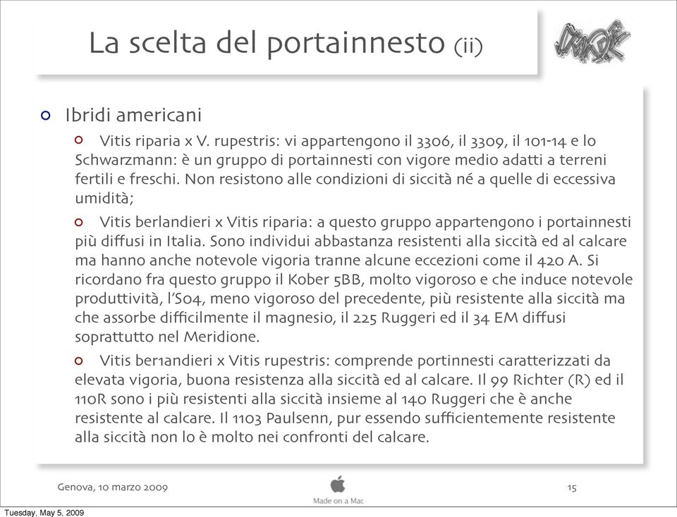 Non resistono alle condizioni di siccità né a quelle di eccessiva umidità; Vitis berlandieri x Vitis riparia: a questo gruppo appartengono i portainnesti più diffusi in Italia.