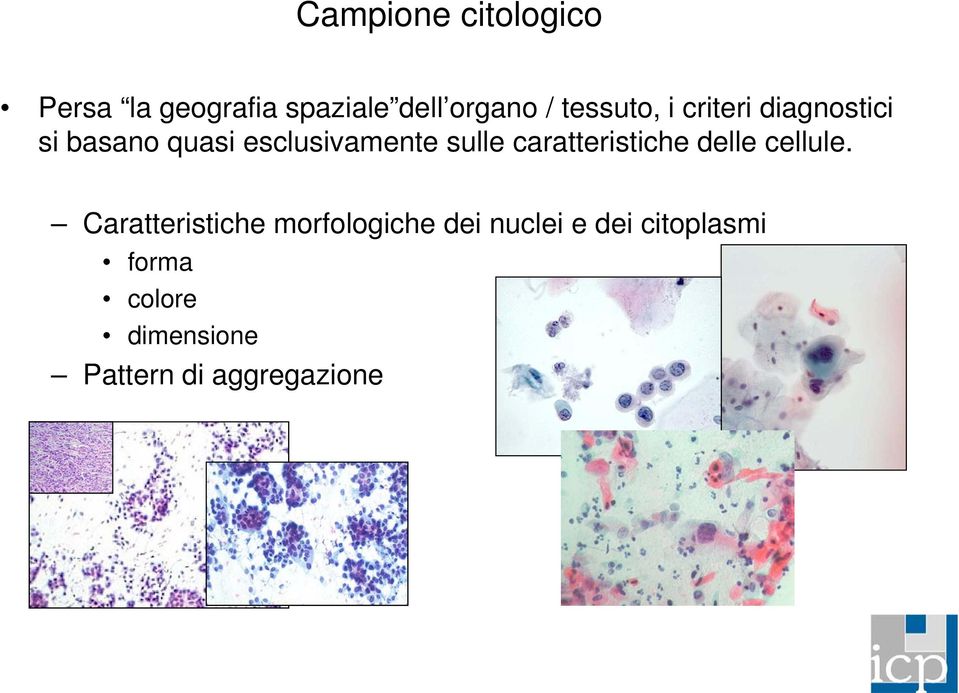 sulle caratteristiche delle cellule.