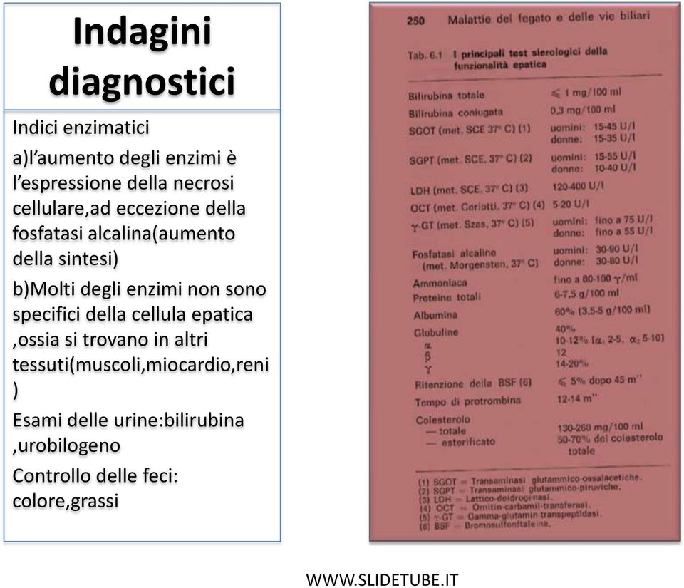 degli enzimi non sono specifici della cellula epatica,ossia si trovano in altri