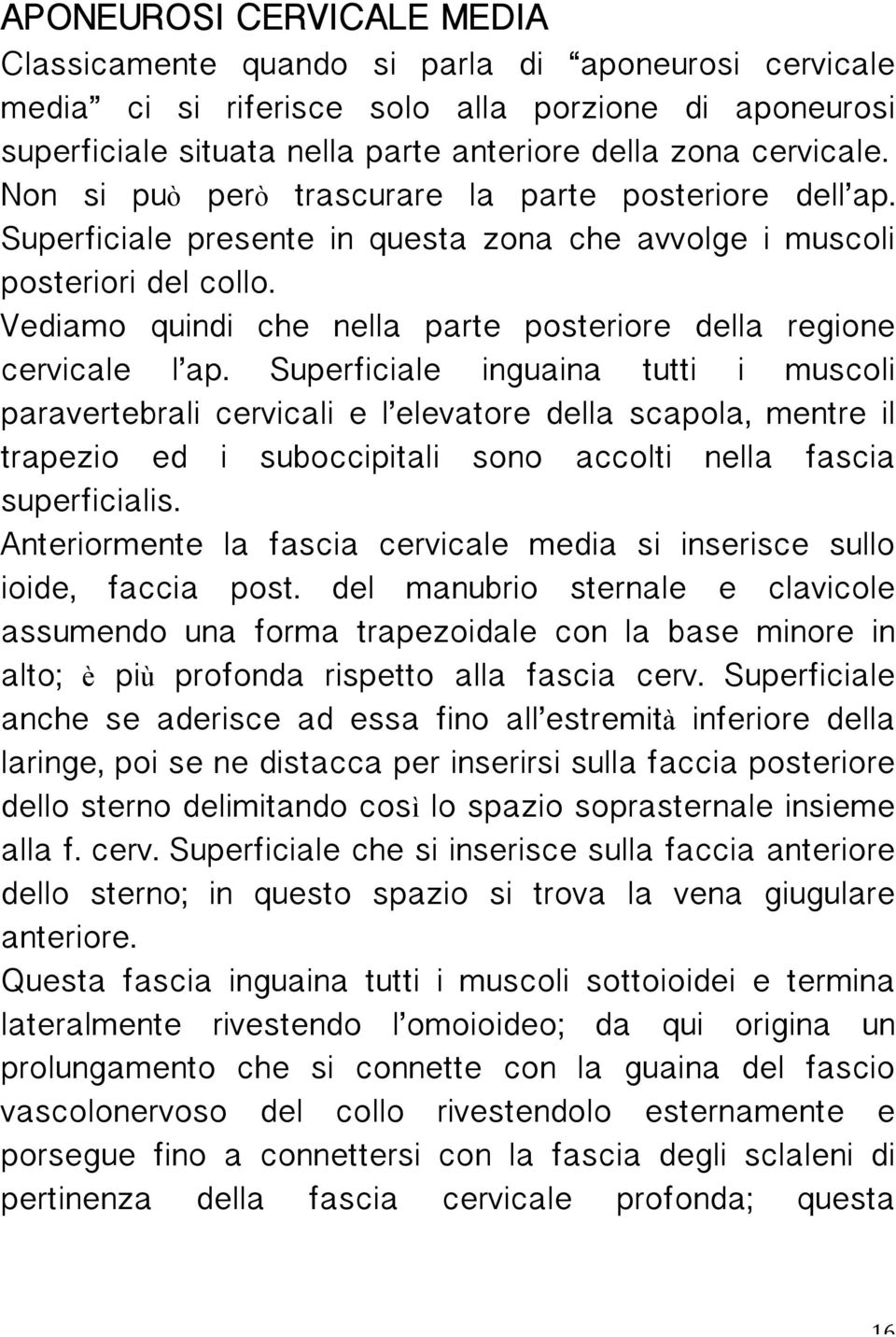 Vediamo quindi che nella parte posteriore della regione cervicale l ap.