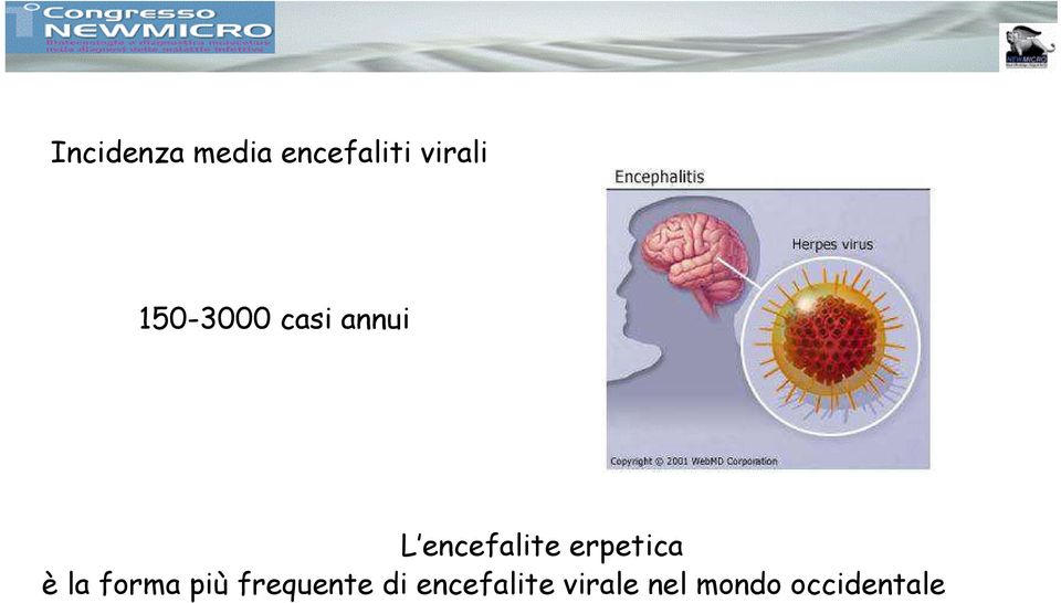 erpetica è la forma più frequente