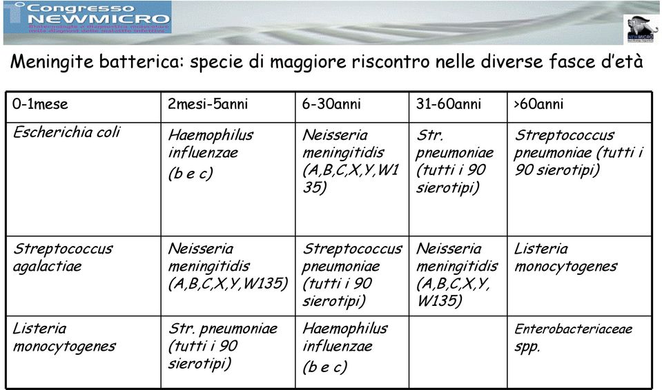 pneumoniae (tutti i 90 sierotipi) Streptococcus pneumoniae (tutti i 90 sierotipi) Streptococcus agalactiae Neisseria meningitidis (A,B,C,X,Y,W135)