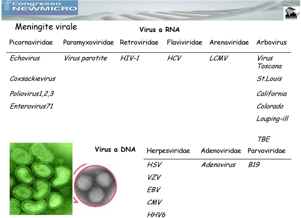 Toscana Coxsackievirus Poliovirus1,2,3 Enterovirus71 St.