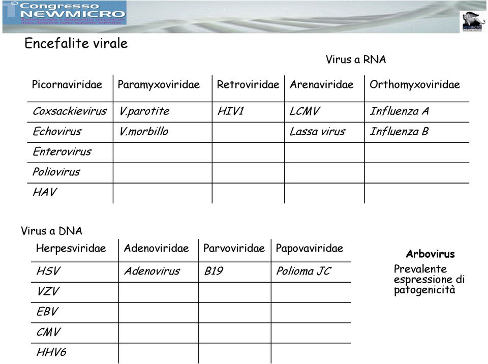 morbillo Lassa virus Influenza B Enterovirus Poliovirus HAV Virus a DNA Herpesviridae