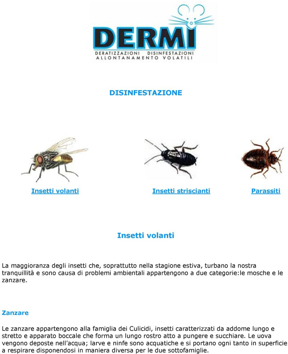 Zanzare Le zanzare appartengono alla famiglia dei Culicidi, insetti caratterizzati da addome lungo e stretto e apparato boccale che forma un lungo rostro