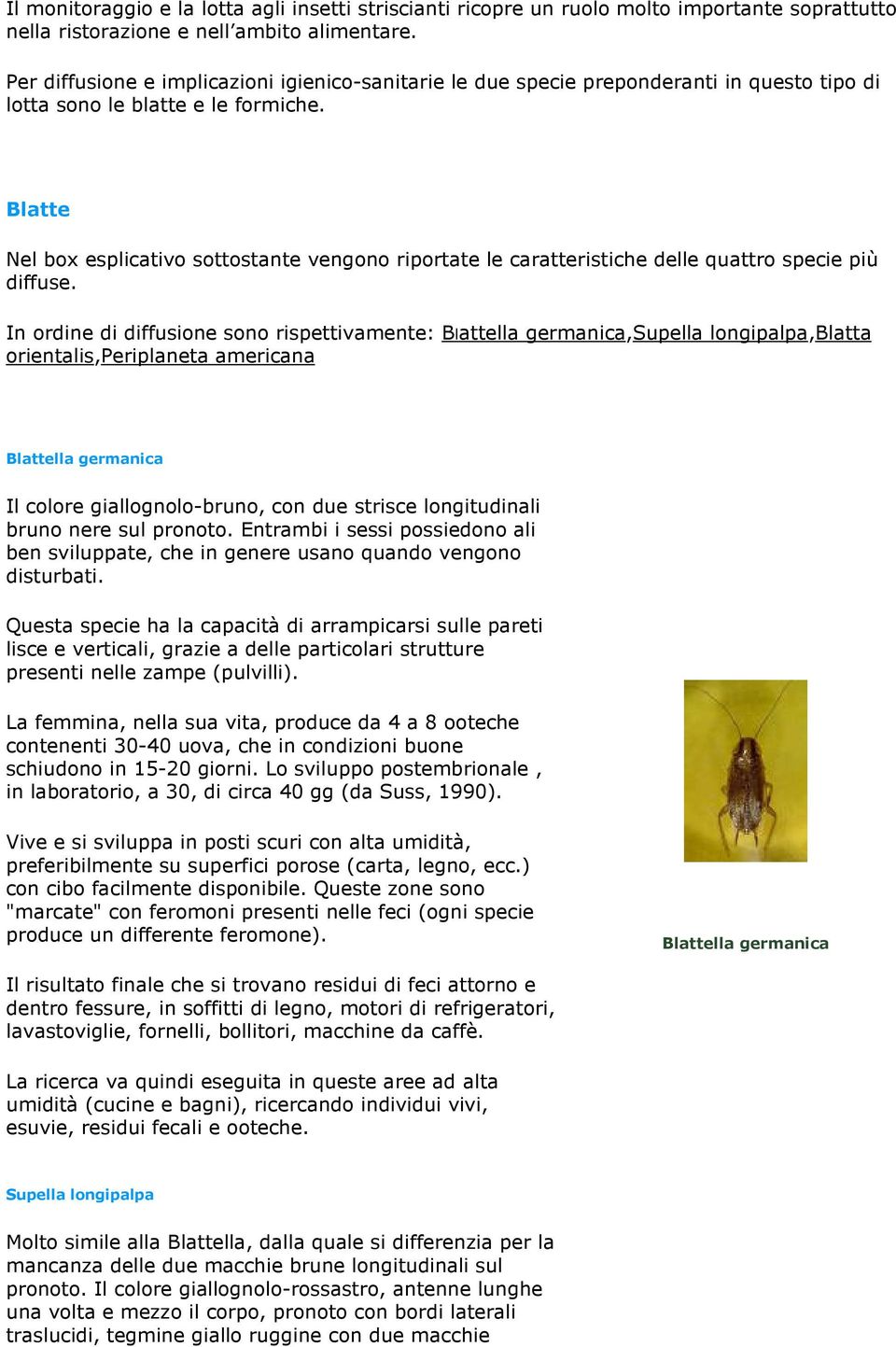 Blatte Nel box esplicativo sottostante vengono riportate le caratteristiche delle quattro specie più diffuse.