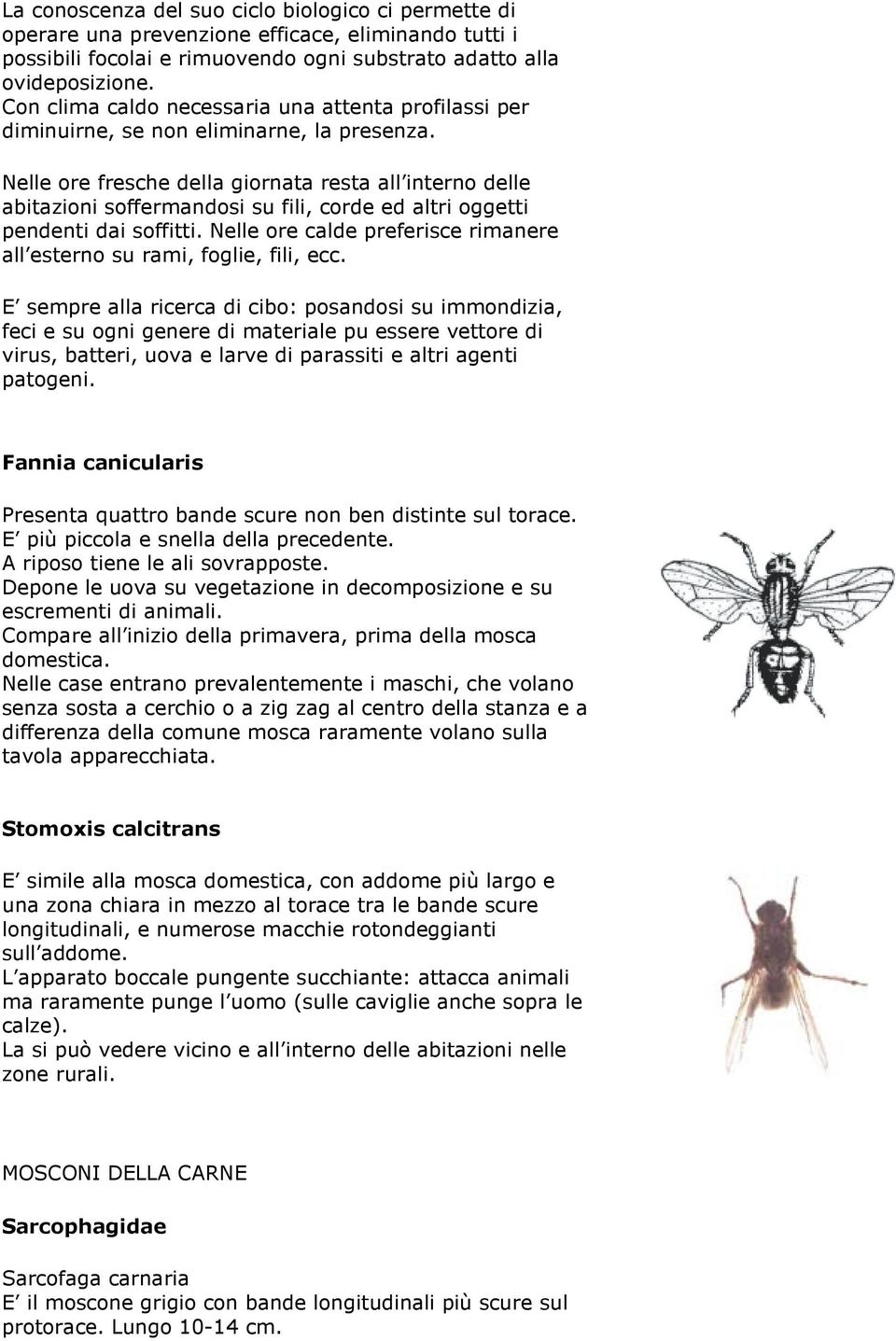 Nelle ore fresche della giornata resta all interno delle abitazioni soffermandosi su fili, corde ed altri oggetti pendenti dai soffitti.