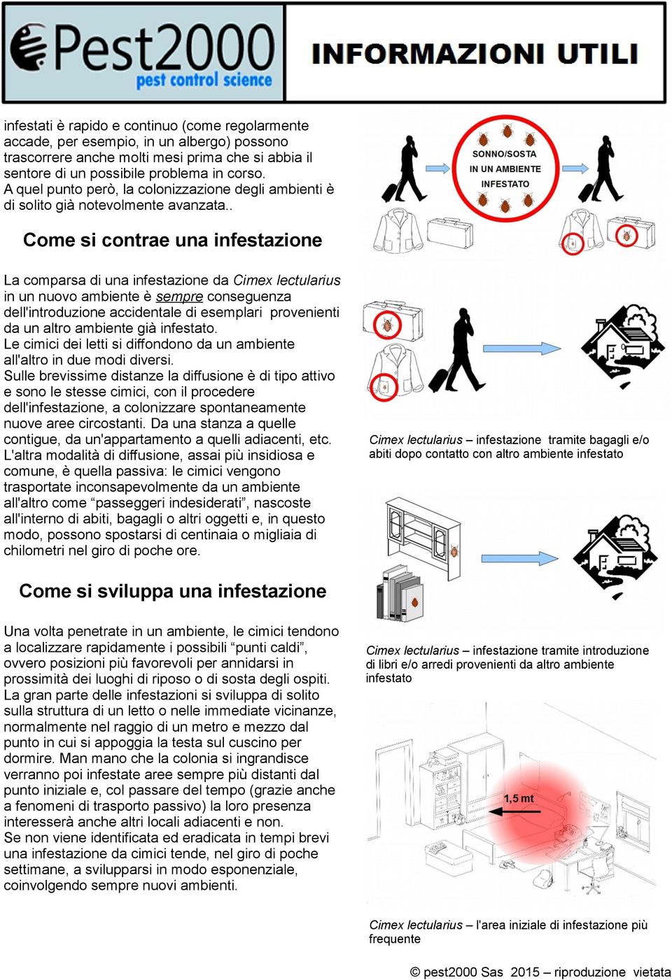 . Come si contrae una infestazione La comparsa di una infestazione da Cimex lectularius in un nuovo ambiente è sempre conseguenza dell'introduzione accidentale di esemplari provenienti da un altro