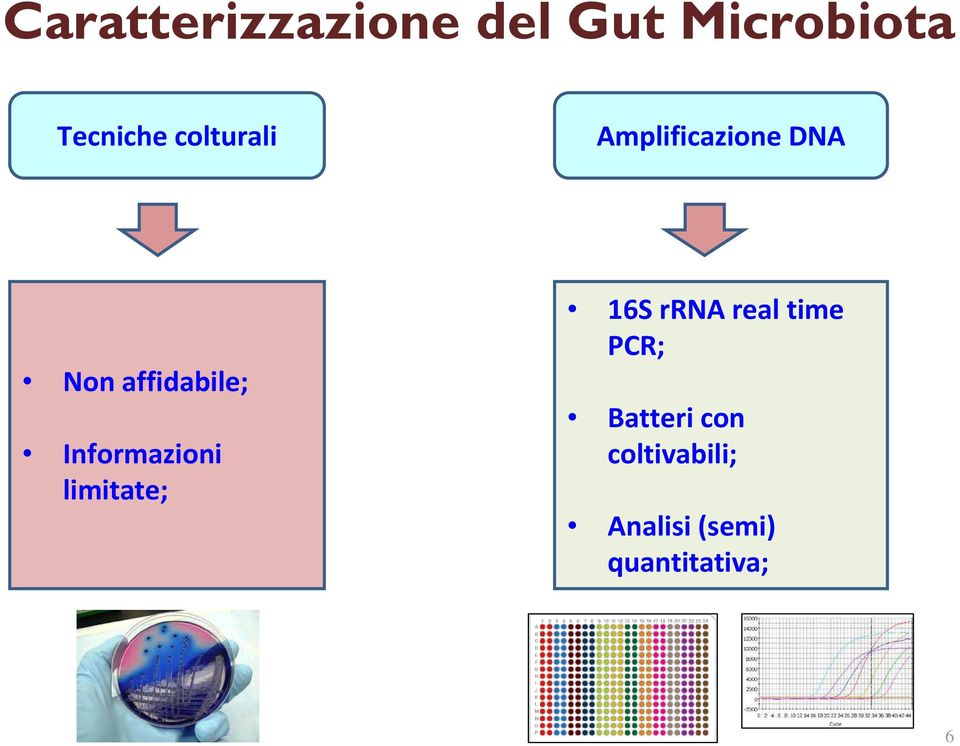 Informazioni limitate; 16S rrna real time PCR;