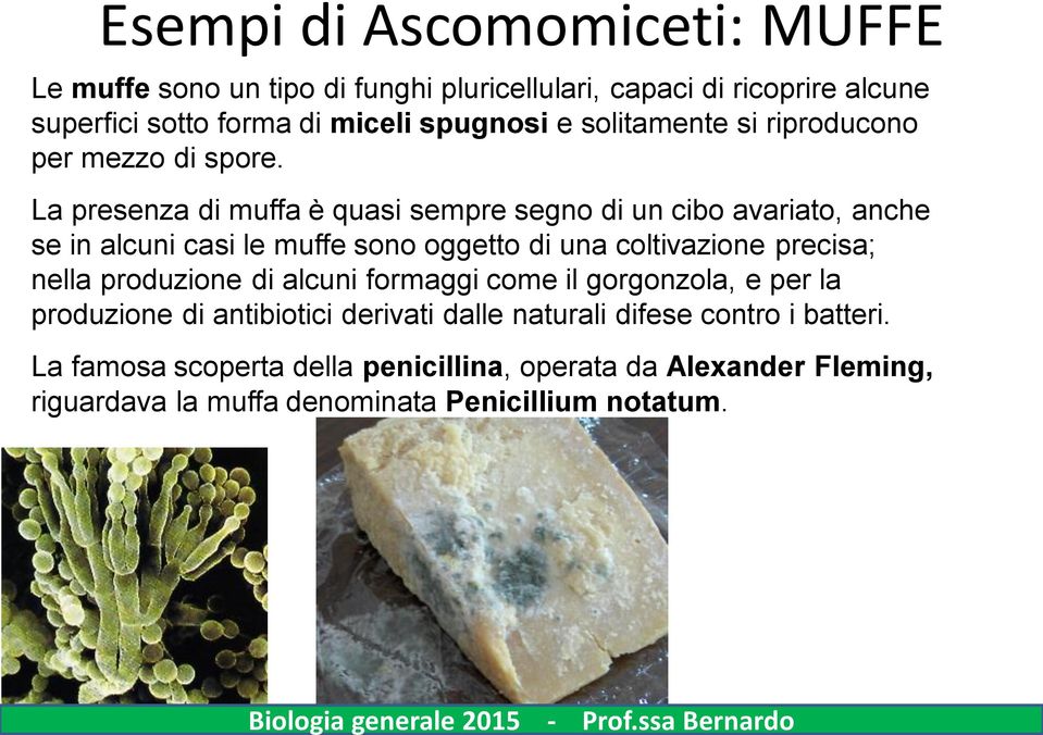 La presenza di muffa è quasi sempre segno di un cibo avariato, anche se in alcuni casi le muffe sono oggetto di una coltivazione precisa; nella