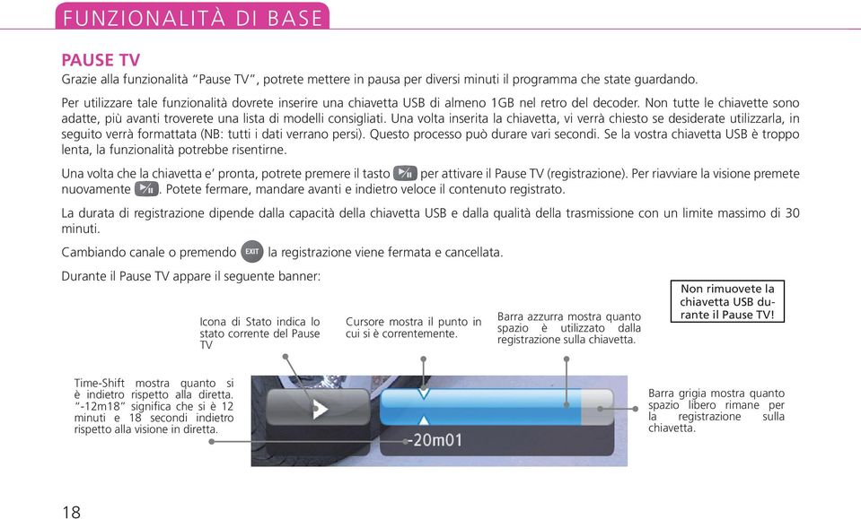 Una volta inserita la chiavetta, vi verrà chiesto se desiderate utilizzarla, in seguito verrà formattata (NB: tutti i dati verrano persi). Questo processo può durare vari secondi.