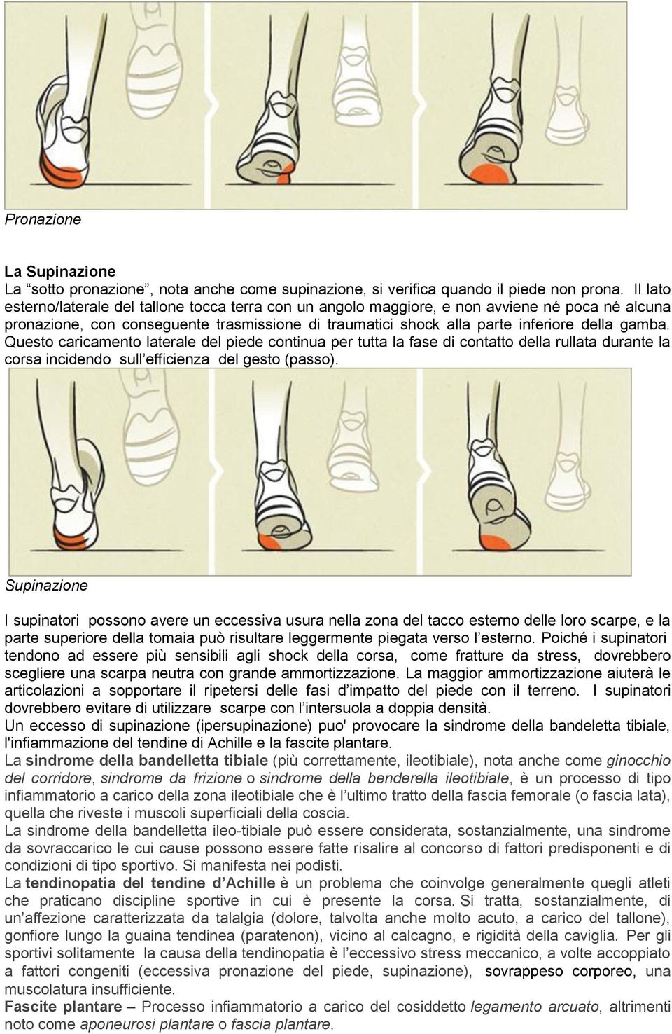 Questo caricamento laterale del piede continua per tutta la fase di contatto della rullata durante la corsa incidendo sull efficienza del gesto (passo).