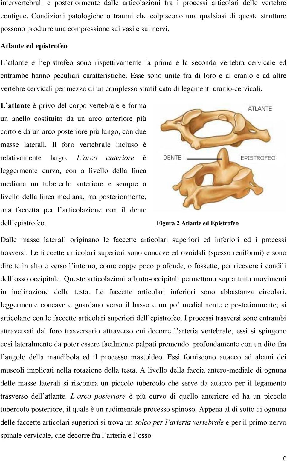 Atlante ed epistrofeo L atlante e l epistrofeo sono rispettivamente la prima e la seconda vertebra cervicale ed entrambe hanno peculiari caratteristiche.