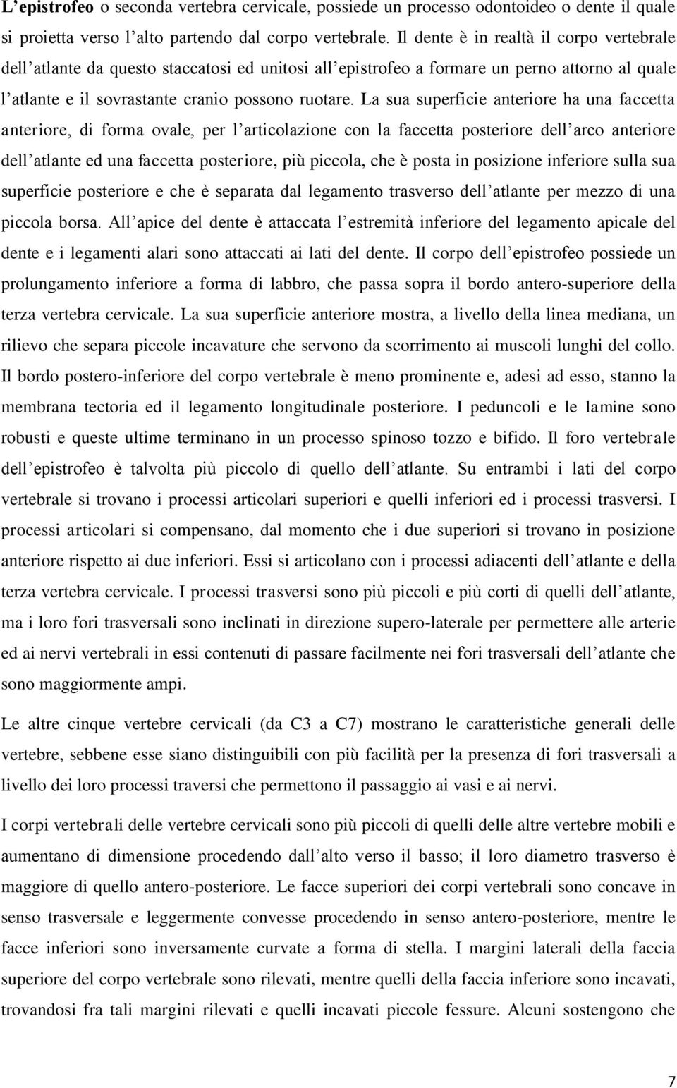 La sua superficie anteriore ha una faccetta anteriore, di forma ovale, per l articolazione con la faccetta posteriore dell arco anteriore dell atlante ed una faccetta posteriore, più piccola, che è