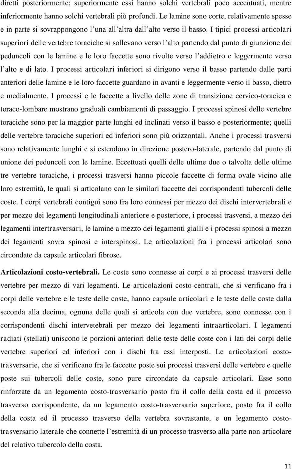 I tipici processi articolari superiori delle vertebre toraciche si sollevano verso l alto partendo dal punto di giunzione dei peduncoli con le lamine e le loro faccette sono rivolte verso l addietro