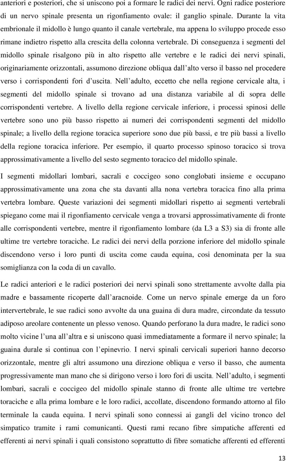 Di conseguenza i segmenti del midollo spinale risalgono più in alto rispetto alle vertebre e le radici dei nervi spinali, originariamente orizzontali, assumono direzione obliqua dall alto verso il